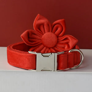 Flower Collar