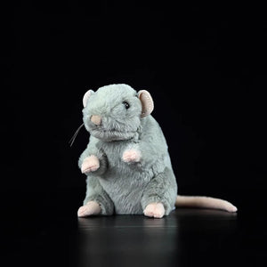 Standing Rat