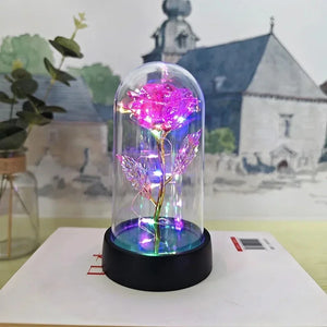 Pink Colored light