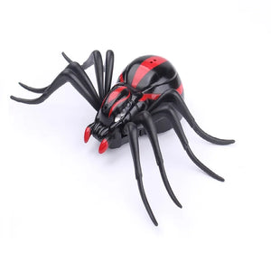 spider