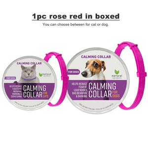 1pc RoseRed in boxed