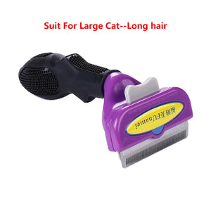 Cat L - Long hair