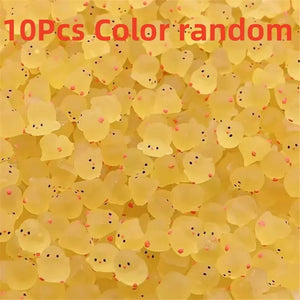 10Pcs
