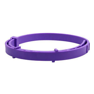 Purple in opp bag