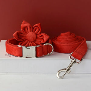 Flower Collar Leash