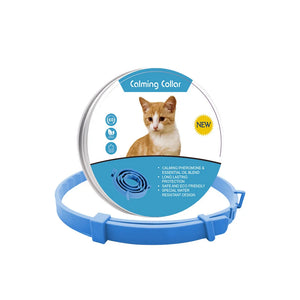Cat-blue-38cm