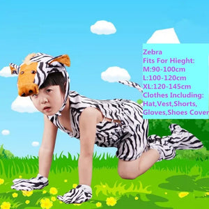 zebra