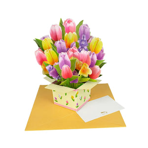 Tulip