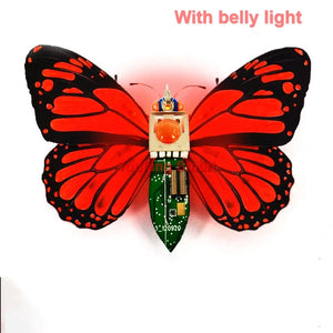 Butterfly light