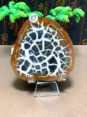 147g     74mm
