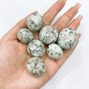 lotus Jasper