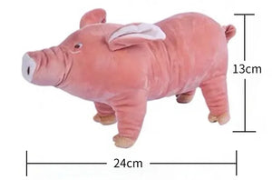 24CM