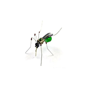 Green Mosquito