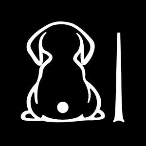 White-Dog B