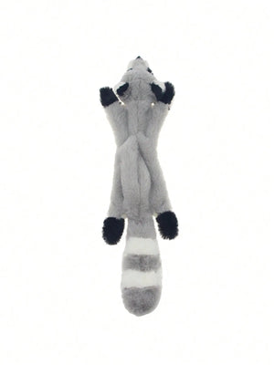 raccoon