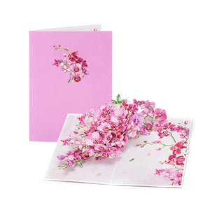 Cymbidium Orchids
