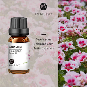 Geranium
