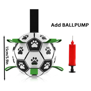 Ball add pump