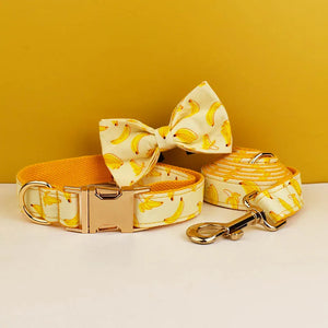 Bow Collar Leash02