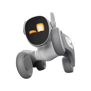 Robot Dog