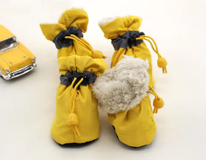 Yellow Warmer