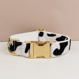 Dog collar07
