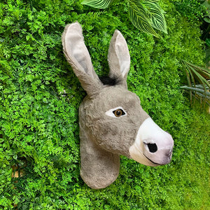 Donkey 2