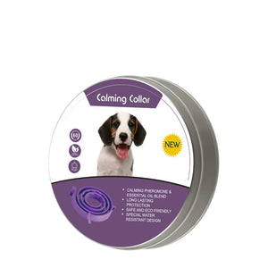 Dog-purple-62cm