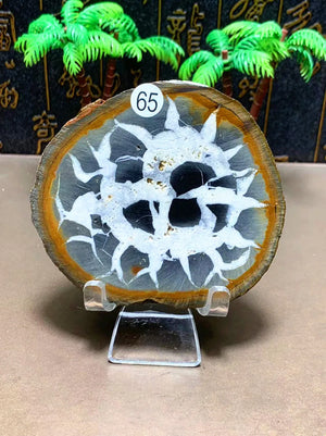 170g    77mm