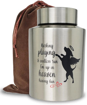 Silver-Playing In Heaven