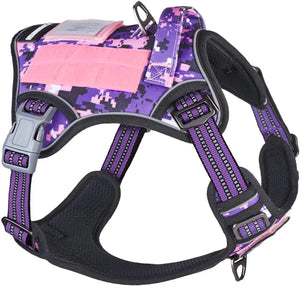 Purple Camo