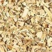 White Willow | Natural Pain Relief & Anti-Inflammatory Support