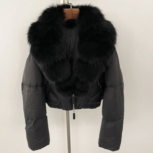 Black Book Black