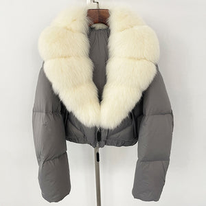 Gray Beige