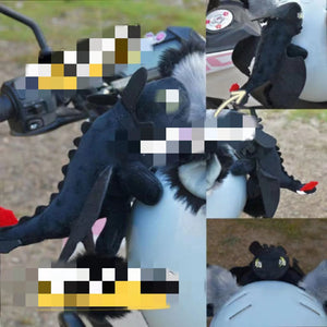 Little black dragon