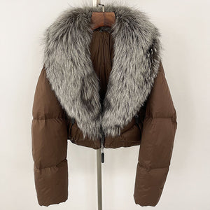 Brown Silver Fox