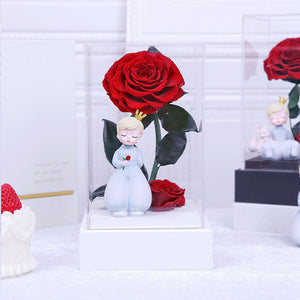 Red flower on white
