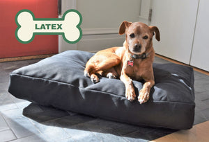 Pee-Proof Liner Only - No Fill