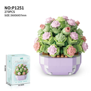 Succulent Romance