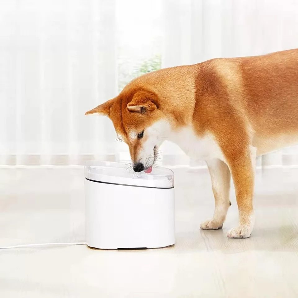 Dog & Cat Drinking Fountain
