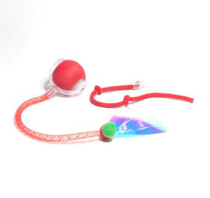 The Dragonflys Tail Is Red