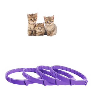 4 Pack Cat 38CM