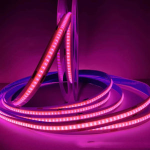 Pink light