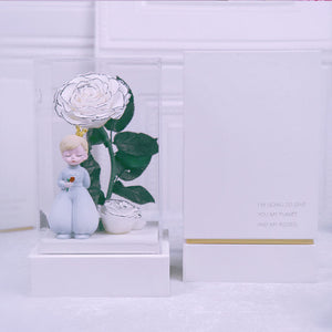 Small fragrance