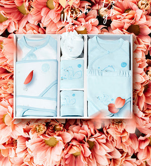 Light blue 12piece set