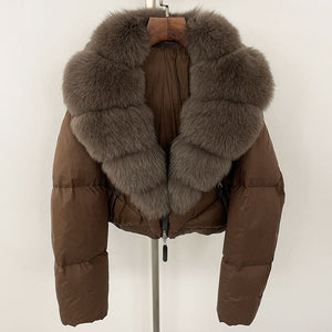 Brown Mocha Gray