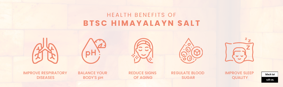 Himalayan Salt "Soap" Bar 5 pack