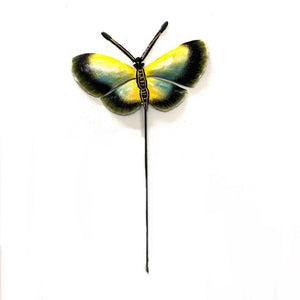 Yellow- Blue