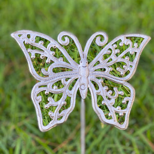 Butterfly 3