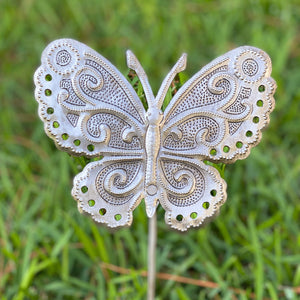 Butterfly 1